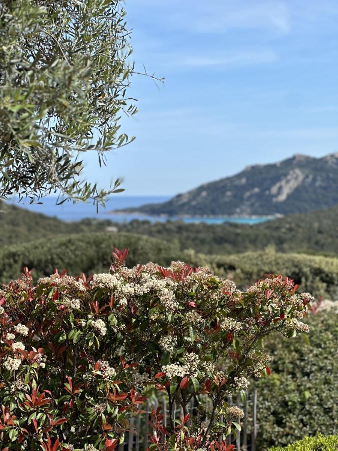 Tres Belle Bergerie Avec Piscine Chauffee A 1 Km De Santa Giulia Villa Porto-Vecchio  Exteriör bild